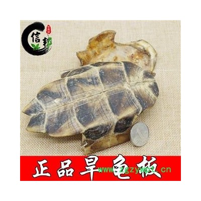 龟板正品国产旱龟板产地直销一件代发专营贵细类冷被偏门专注品质，诚信信邦！
