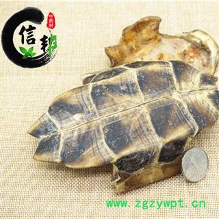 龟板正品国产旱龟板产地直销一件代发专营贵细类冷被偏门专注品质，诚信信邦！图4