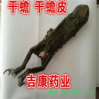 中药材干蟾 干蟾皮  产地辽宁图2