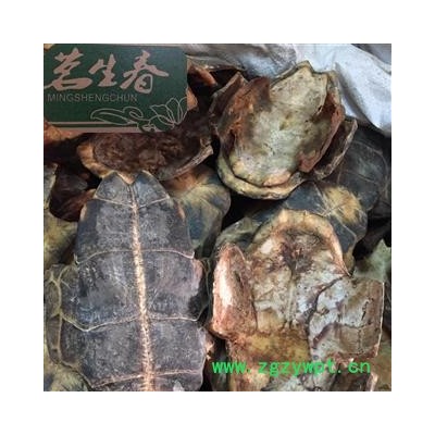 龟板 茗生春药材总公司 一手货源  7天无理由退换