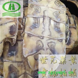 世元药业 生龟板 正品 批发花草茶参茸调料昆虫动物化工冷背药图2