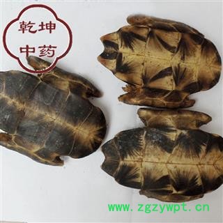 龟甲 统货  好货 产地 湖北省【品种齐全 诚信经营】图2