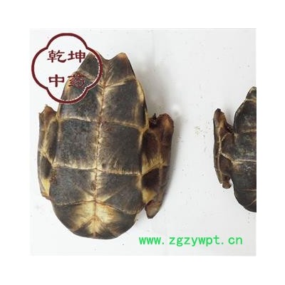 龟甲 统货  好货 产地 湖北省【品种齐全 诚信经营】