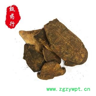 龟板 制龟板统货 产地 浙江省 1公斤装图3