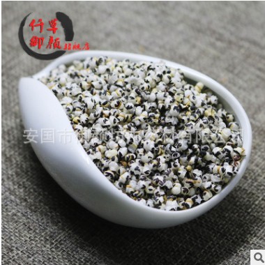 批发 王不留行 王不留行籽1000G图2