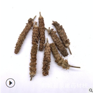 夏枯球 统装 500g 产地四川 录建药材栈 量大从优 一站式采购图3