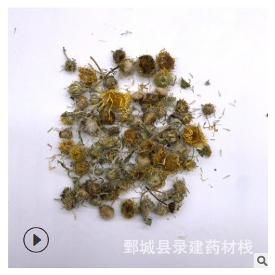 批发零售常用中药材 无硫熏 旋复花 500g 产地山东录建药业旋复花