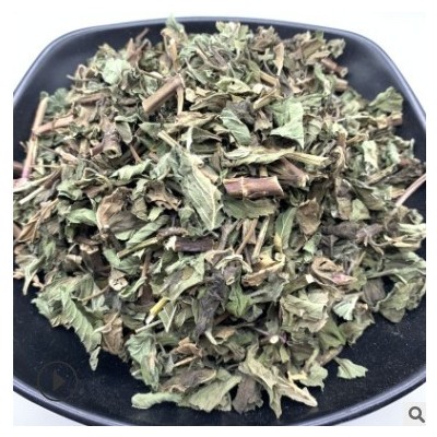 薄荷 薄荷统段 药用薄荷1000g起批录建药业供应无硫常用中药材