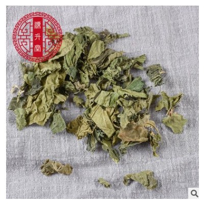 产地供应青桑叶货源 另有霜桑叶可打粉 量大从优中药材