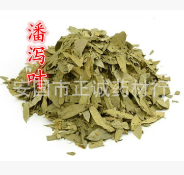 【正诚药业】中药材 潘泻叶 潘泄叶 量大从优