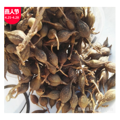 连翘 中药材 500克 连翘 【心稳中药】 青翘 供应零售 批发