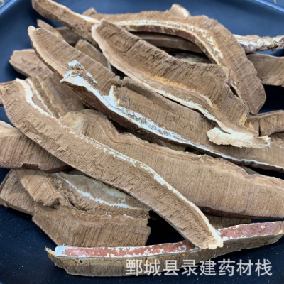 灵芝 东北灵芝片 一件起批 录建药业供应无硫常用中药材花草茶