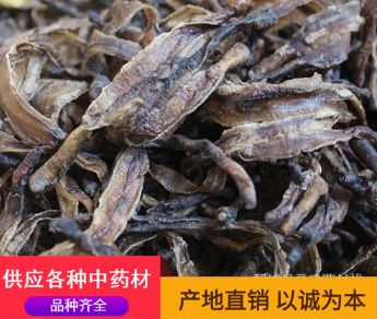 地龙小地龙@【录建药业】批发零售常用中药材1000g非全开地龙图3