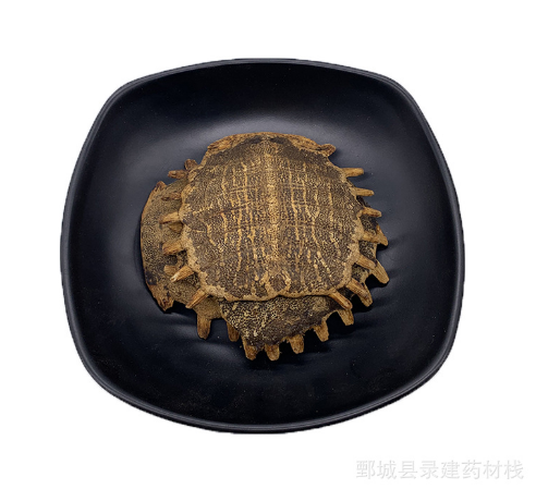 鳖甲 制鳖甲 500g起批 录建药业供应无硫常用中药材花草茶等等图3