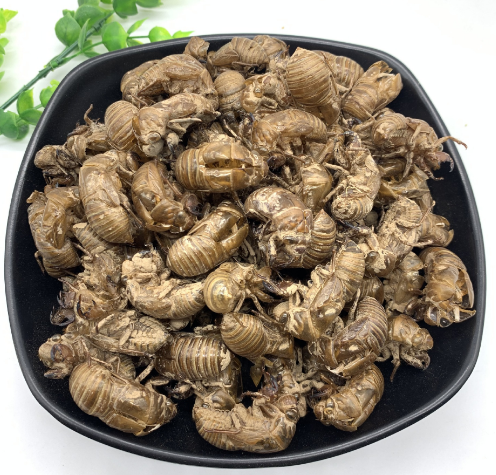 批发零售常用中药材 水洗蝉蜕 爬叉壳 金蝉壳 500g 产地山东 蝉蜕图4