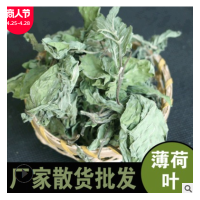 厂家供应 薄荷叶批发 散货花草茶清凉薄荷茶叶 量大从优