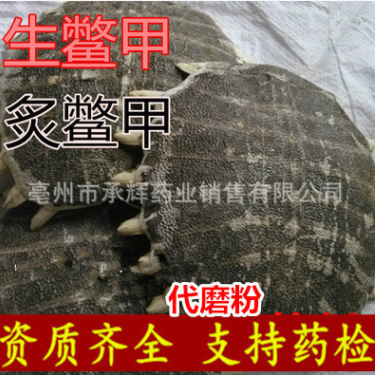 中药材批发优质鳖甲 炙鳖甲 生鳖甲 醋鳖甲一手货源 支持药检