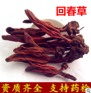 中药材 回春草 草苁蓉 不老草 顶天柱 无硫 支持药检