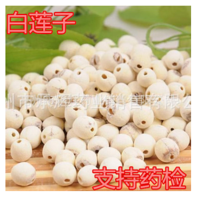 中药材批发 无硫新货 白莲子 莲子 各种规格齐全 承接订单