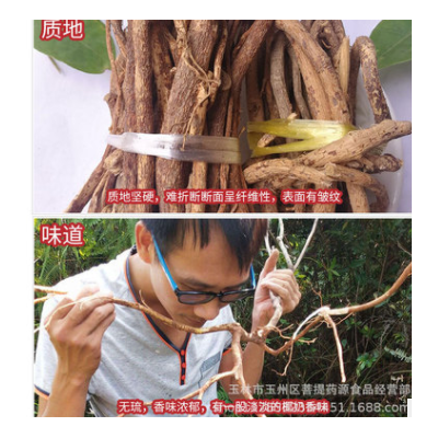 五指毛桃根 广西五指毛桃根中药材五指牛奶根 五子毛桃无硫