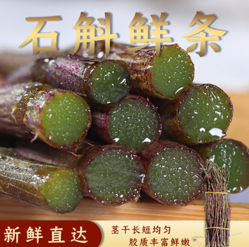 云南铁皮石斛鲜条胶汁饱满1kg批发仿野生新鲜石斛现采现发中药材