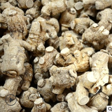 西洋参 广东人参 美国花旗参 洋参 加拿大西洋参批发