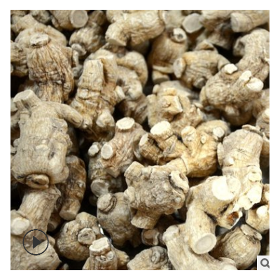 西洋参 广东人参 美国花旗参 洋参 加拿大西洋参批发