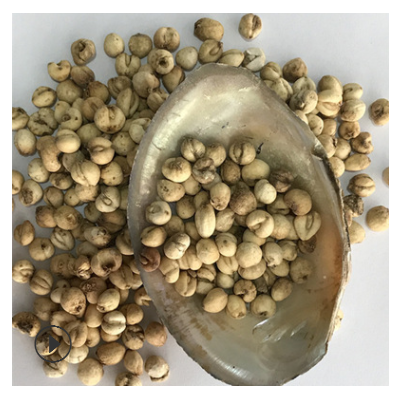 川贝母 四川尖贝母 川贝 贝母 全干 中药材批发 1000g克