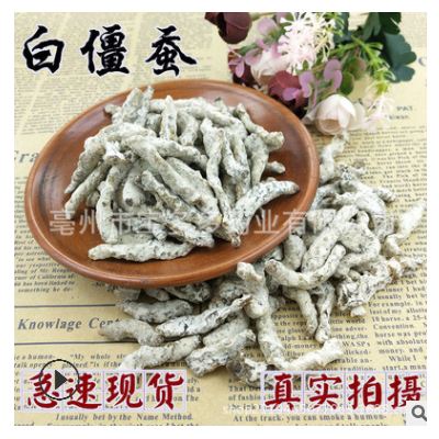供应中药材白僵蚕 天虫 扁僵蚕 代炒僵蚕僵蚕磨粉需备注