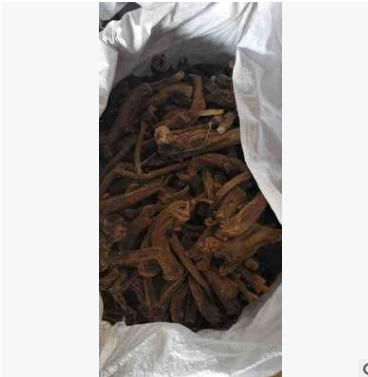 中药材 批发 冬虫夏草 虫草 产地 各种规格 4000条一公斤图3