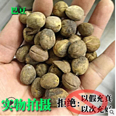 中药材批发 带壳巴dou 豆 巴ba豆dou 灰巴 豆豆 ba dou badou
