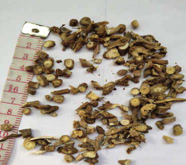 供应 当归 碎渣沫图2