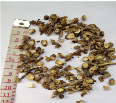 供应 当归 碎渣沫图3