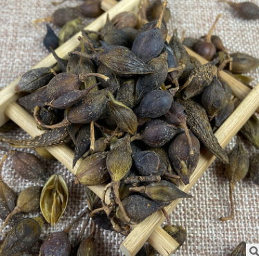 批发中药材 连翘 黄翘 青翘 新货 贴牌OEM打粉60-200目粉一件代发