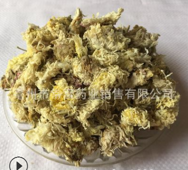 亳菊 熏亳菊花 大量现货 菊花一件代发