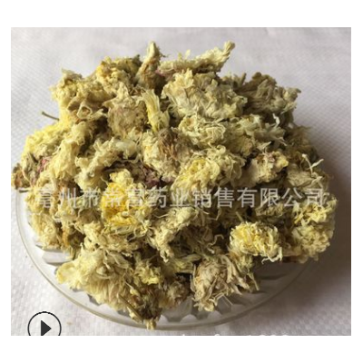 亳菊 熏亳菊花 大量现货 菊花一件代发