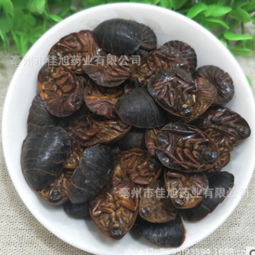 散装 中药材土元 土鳖虫干土鳖子各种规格