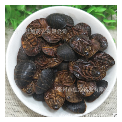 散装 中药材土元 土鳖虫干土鳖子各种规格