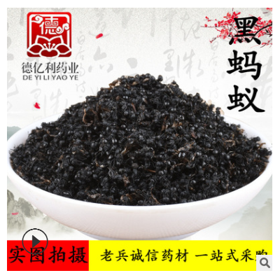 黑蚂蚁 黄蚂蚁 红蚂蚁 老兵诚信原药材实体店经营 按方抓药大蚂蚁