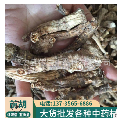 浙江磐安批发前胡 中药材批发现货 散装道地 大货供应 量大从优