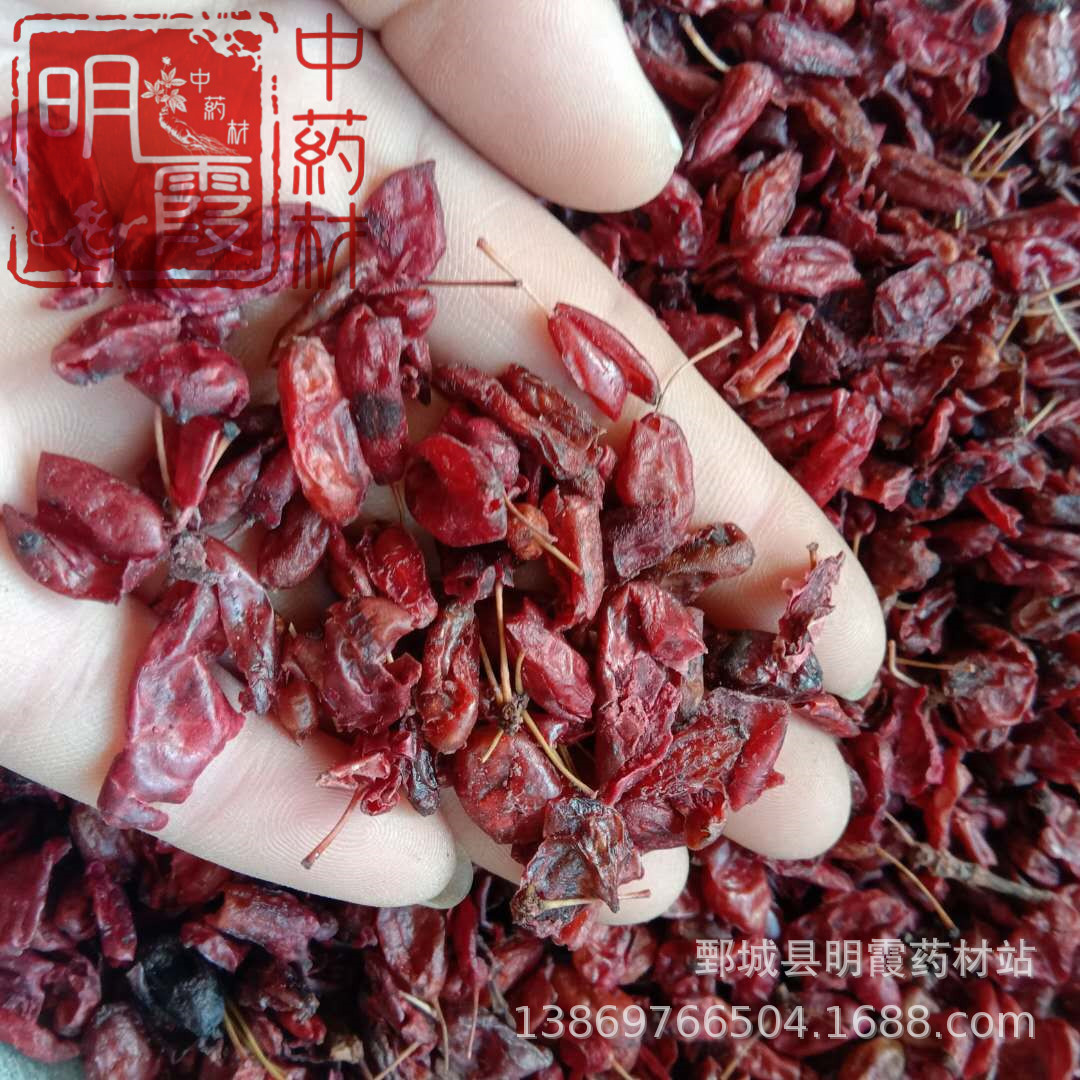 图片_20190124195720_副本