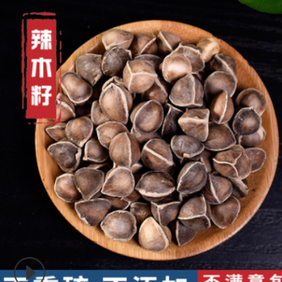 药食同源批发辣木籽精选大粒辣木子一手货源一件代发