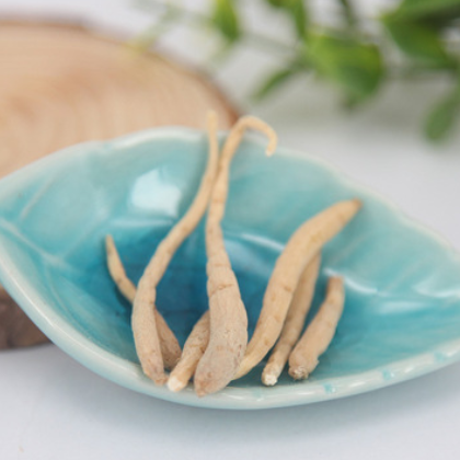 太子参批发各种规格产地中药原料太子参瑞英药业中药材500克批发图2