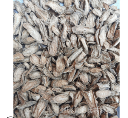 黄金牛蒡茶中小选片花茶专用产地大货销售大小匀称干净