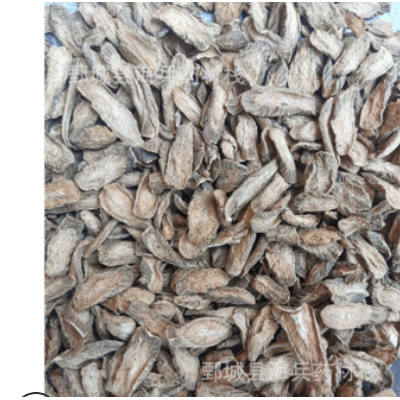 黄金牛蒡茶中小选片花茶专用产地大货销售大小匀称干净