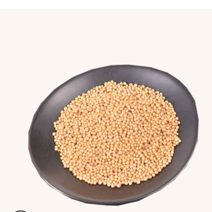 新品白芥子统货无杂质大白芥个产地干净货源好大小均匀白芥子颗粒图2