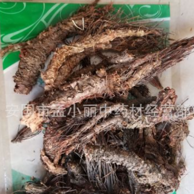 中药材 凤尾七根 凤凰草根 小丛红景天 香景天 凤尾草根