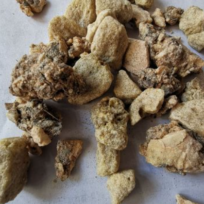 中药材 安息香 野茉莉 白花榔 拙贝罗香 量大从优 一袋500克