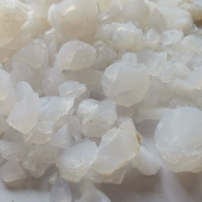 中药材 天竺黄 人工天竹黄 合成天竺黄 量大从优