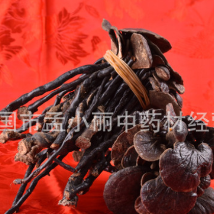 供应 灵芝 竹灵芝 产地云南图2